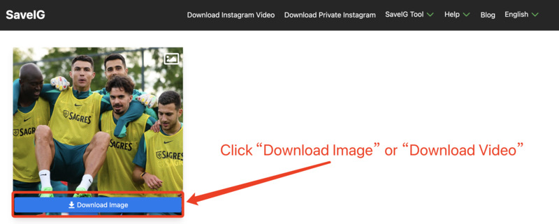 Downloading Instagram Image or Video via SaveClip: SaveClip page showing the option to click 